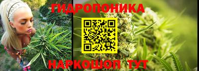 PSILOCYBIN Кунгур