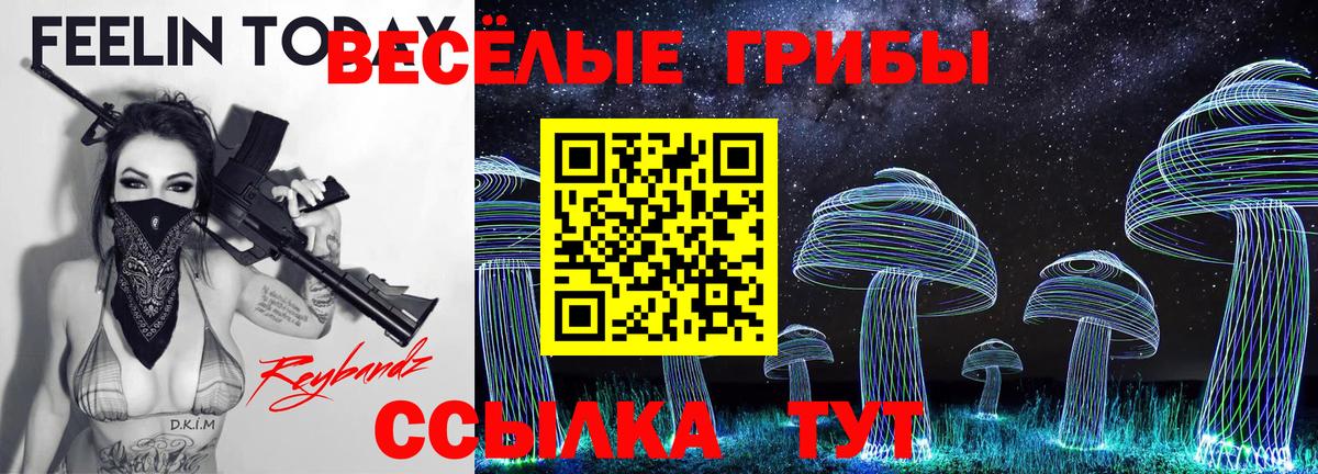 Галлюциногенные грибы Magic Shrooms Сосновоборск