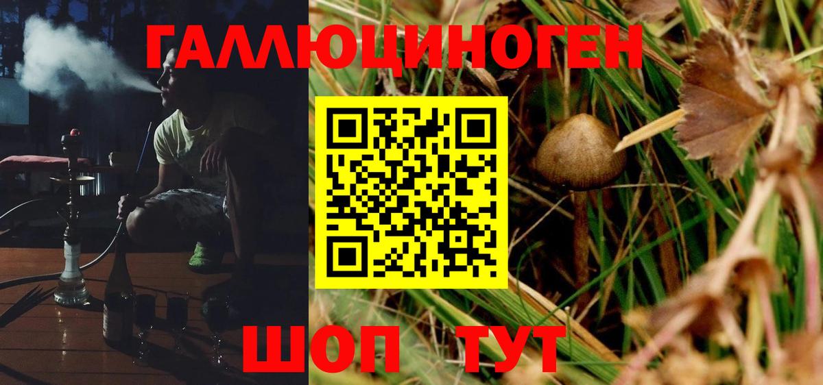 Галлюциногенные грибы Psilocybe  Галлюциногенные грибы Cubensis  Вход с VPN  Сосновоборск 